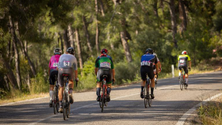 Road Gran Fondo AG-TOHUM 49K 2024